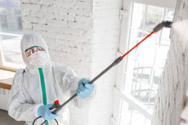 Best Mold Remediation for Healthcare Facilities  in Splendora, TX